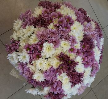 Букет №334 из 25 кустовых хризантем